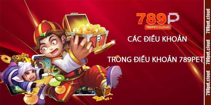 Các điều khoản quan trọng trong Điều Khoản 789pet
